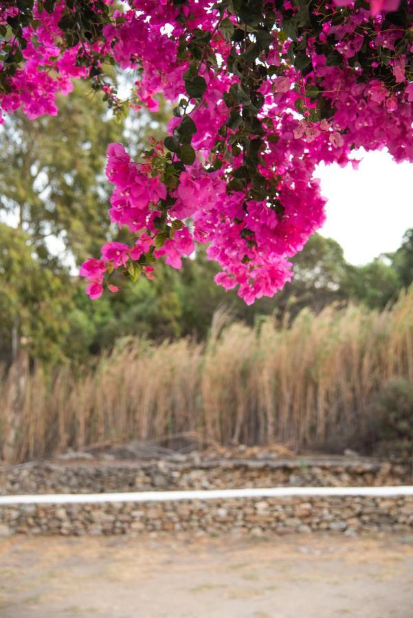 Island House Mare Διαμέρισμα Μυλοπότας Εξωτερικό φωτογραφία