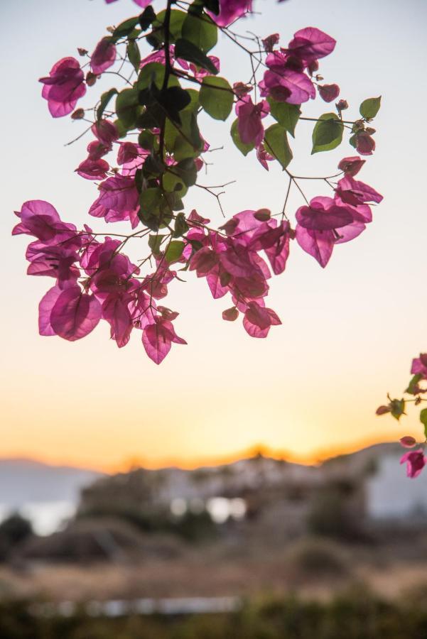 Island House Mare Διαμέρισμα Μυλοπότας Εξωτερικό φωτογραφία